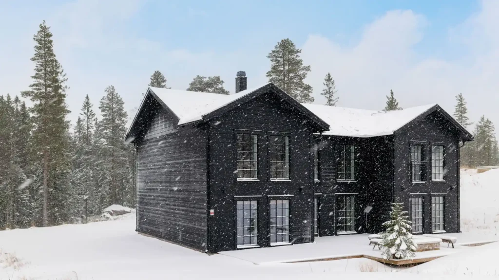 Modernt svart hus